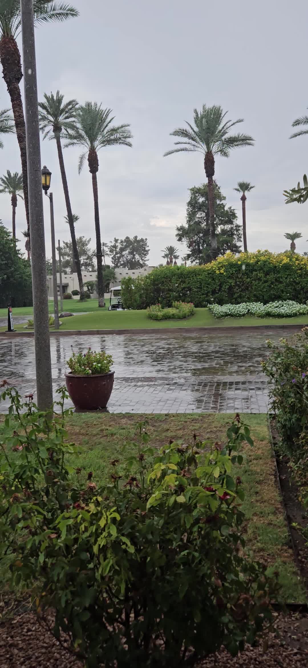 @ክልዪጋዐ 📸😉