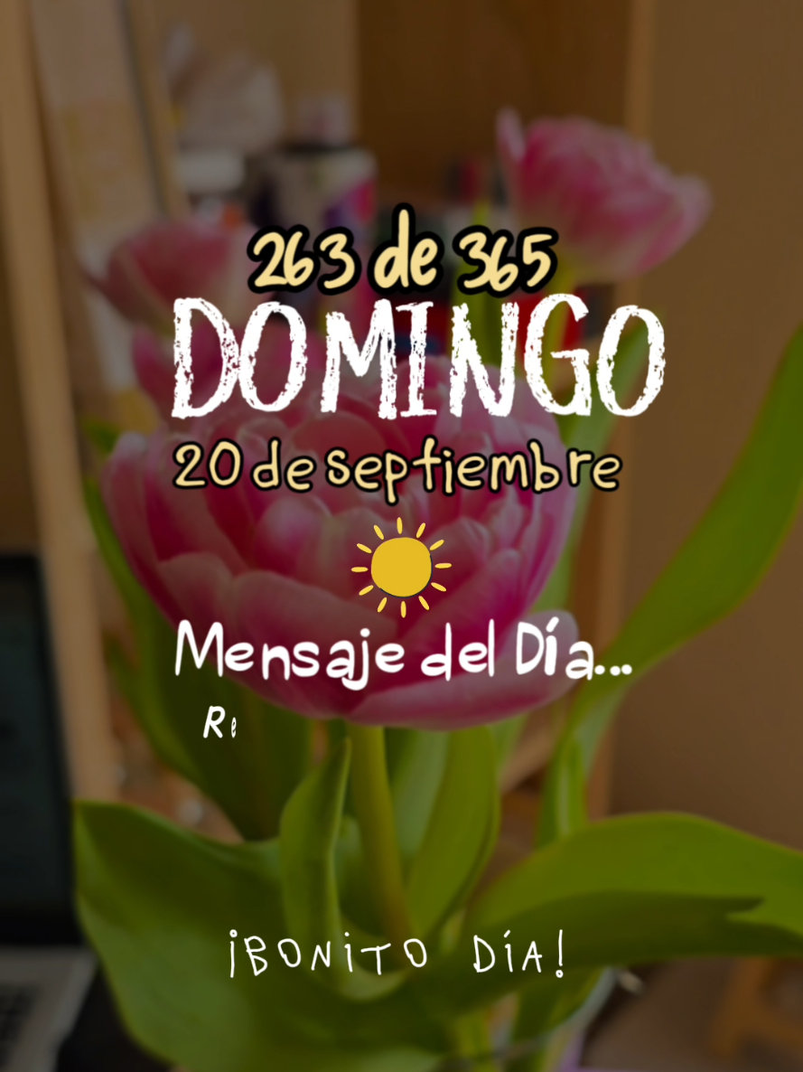 @Patricia Duerto