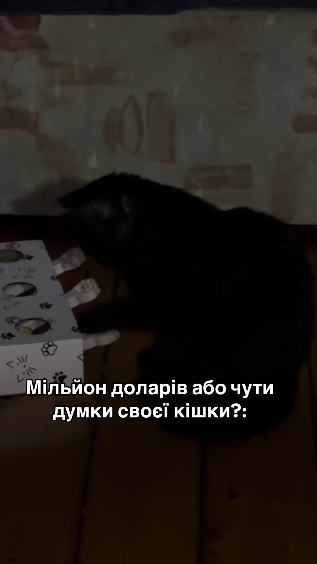 @nikullochkina