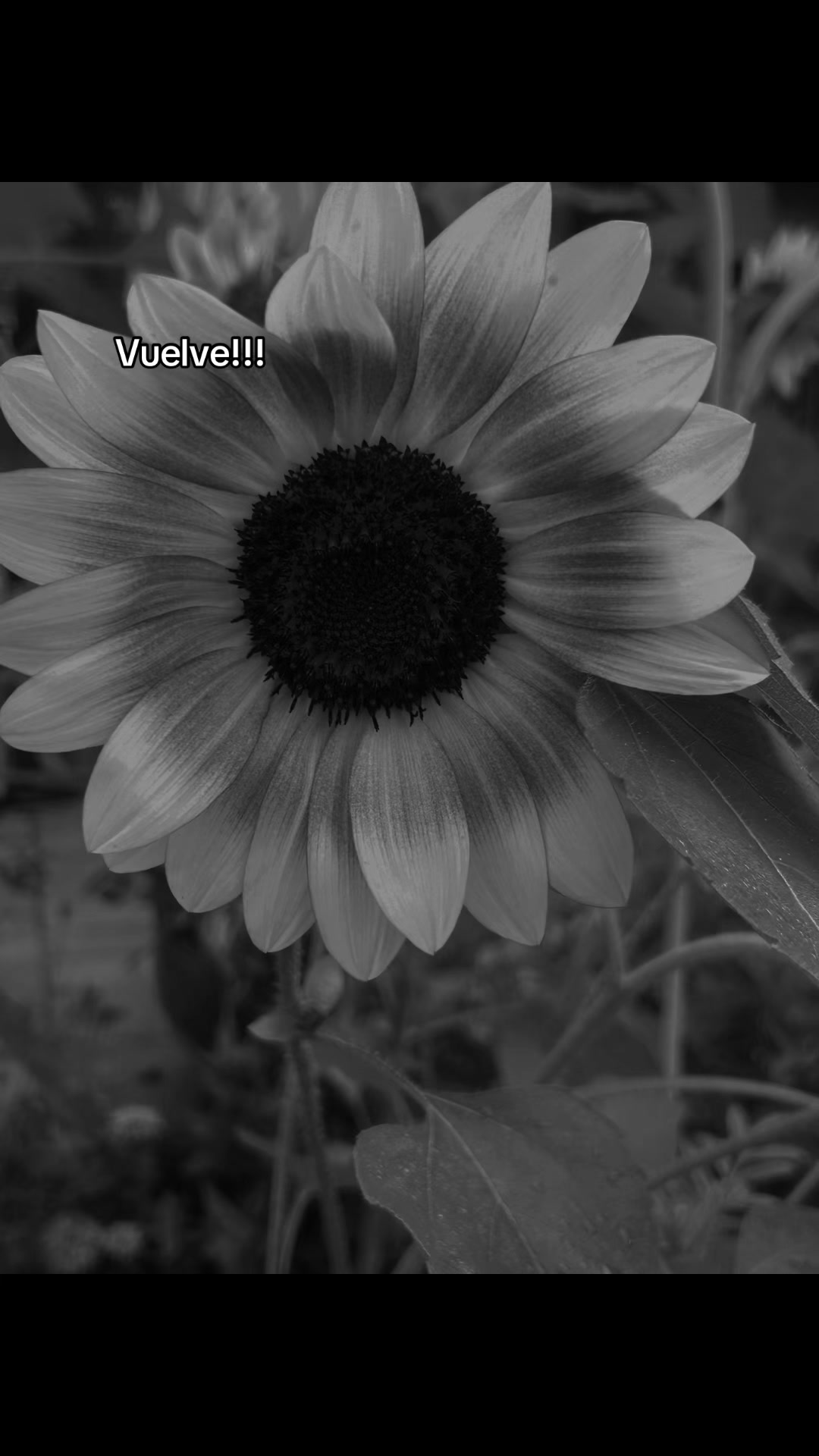 @&hearts;️YJ&hearts;️
