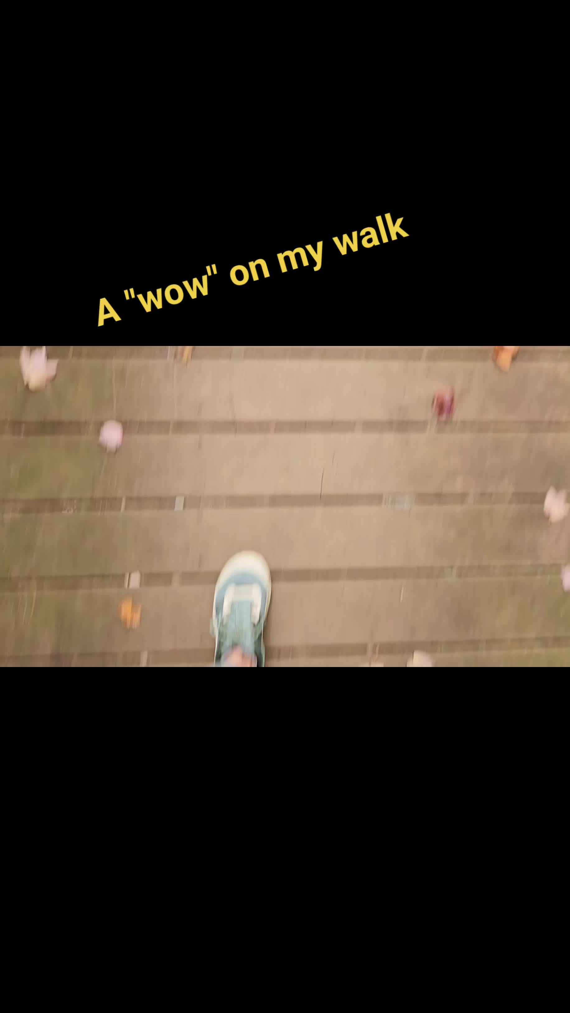 @MagsJ