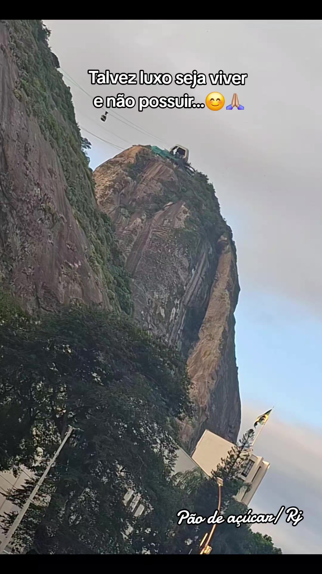 @carlasoares3435