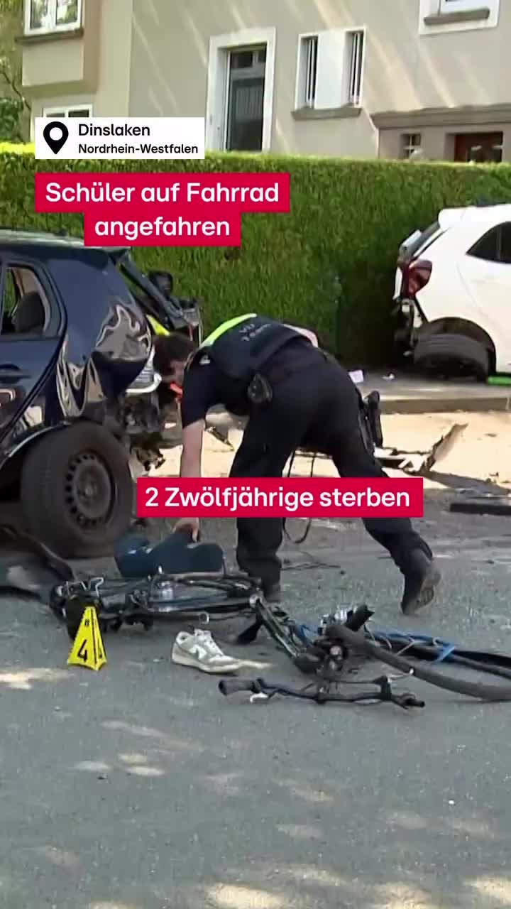 @🐾🎼🎵𝓁𝒶𝓁𝑒𝓁𝓊🐾🎼🎵
