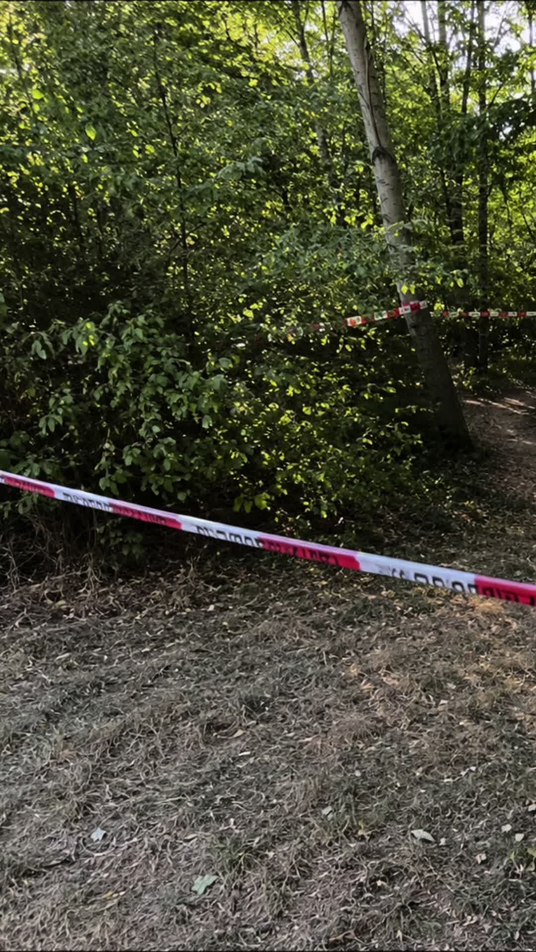 @Deine Nachrichten