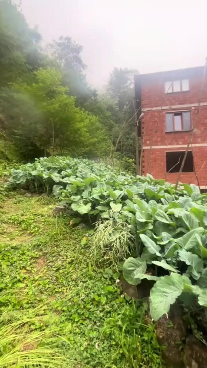 @BOZKURT YUREKLI CÜNEYT RIZE