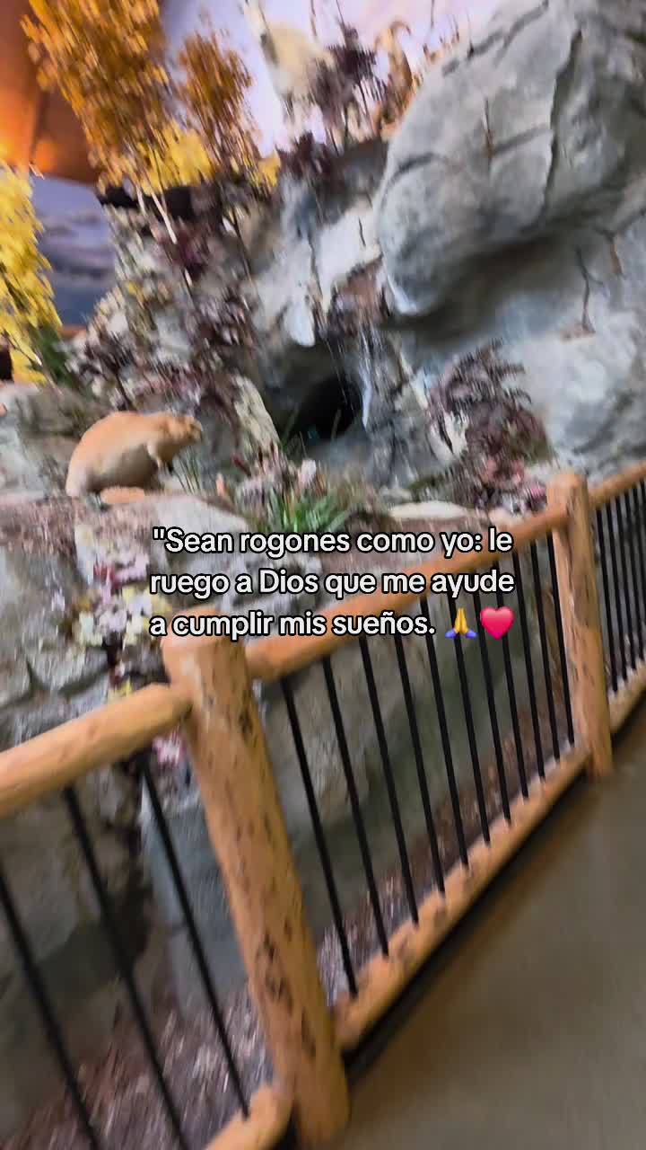 @Edwintzoc
