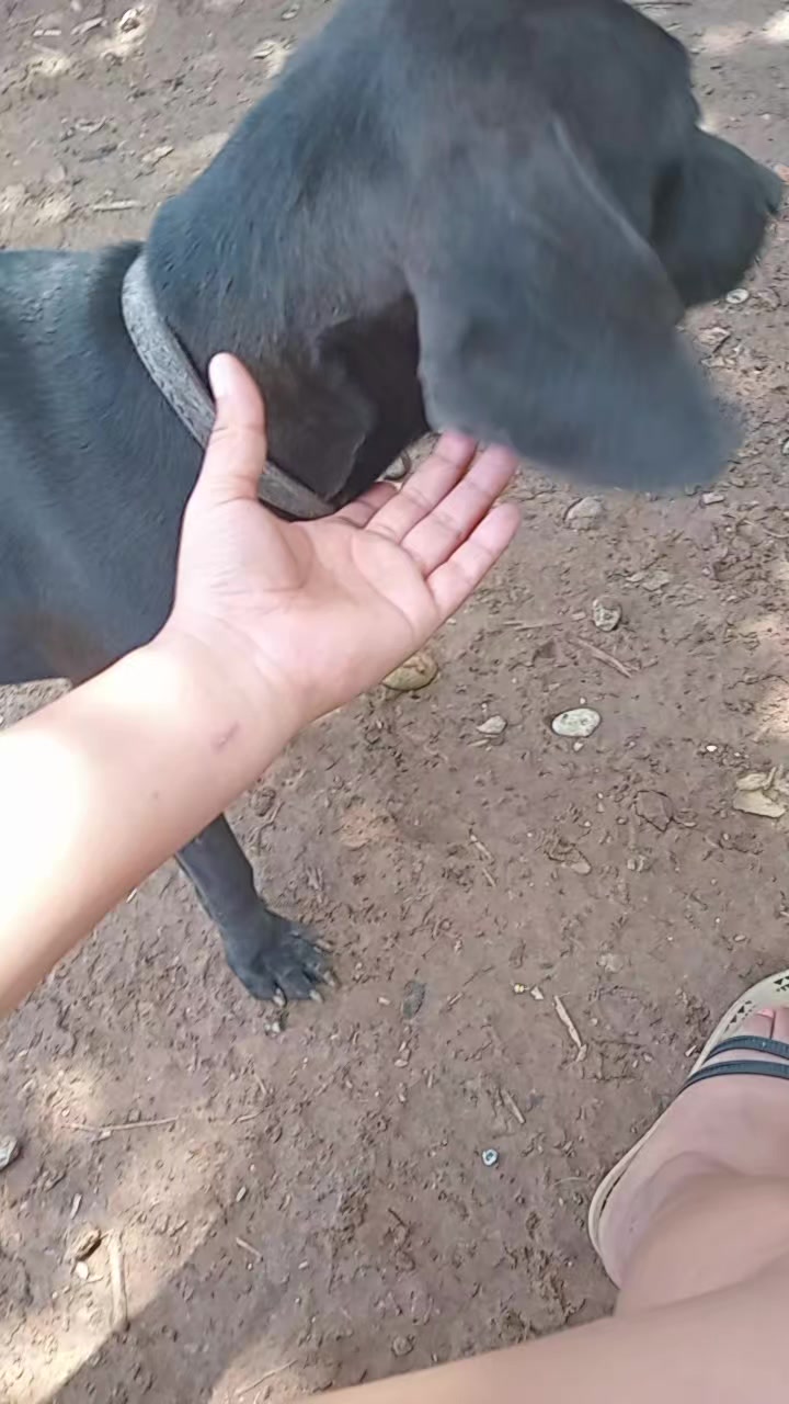 @Heidi Aguilar