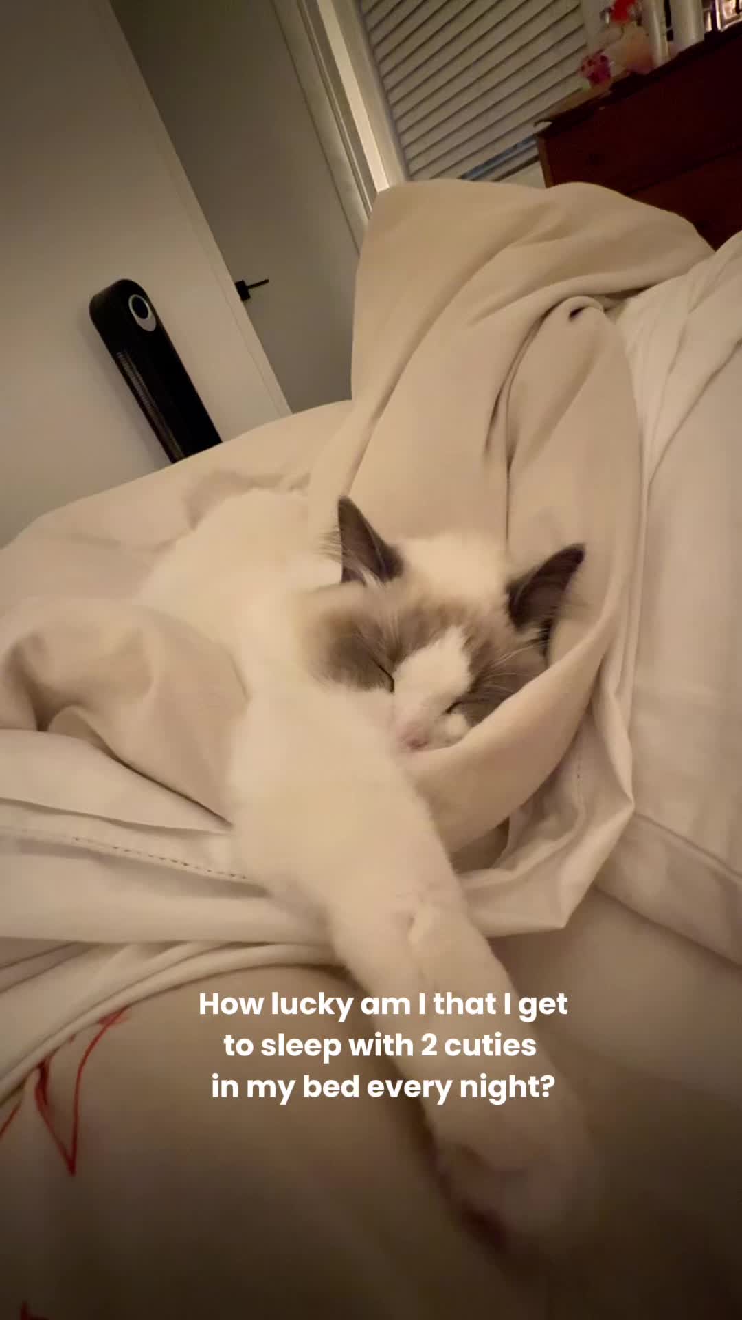 @ChloeeeCleooo