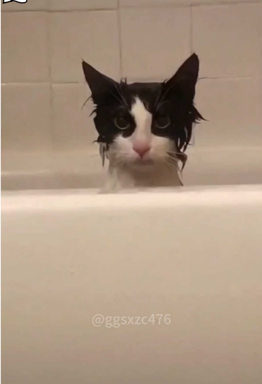 @ggsxzc476