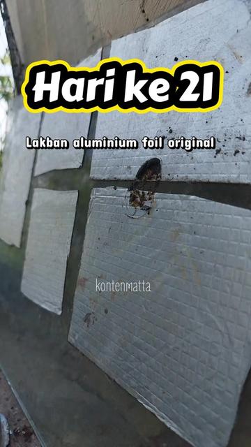 @KONTEN MATTA