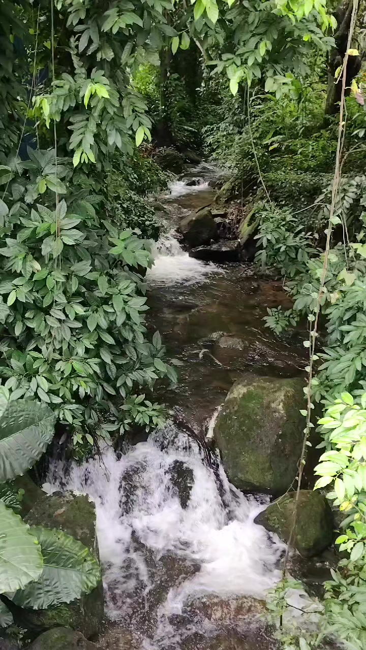 @Andréa❤