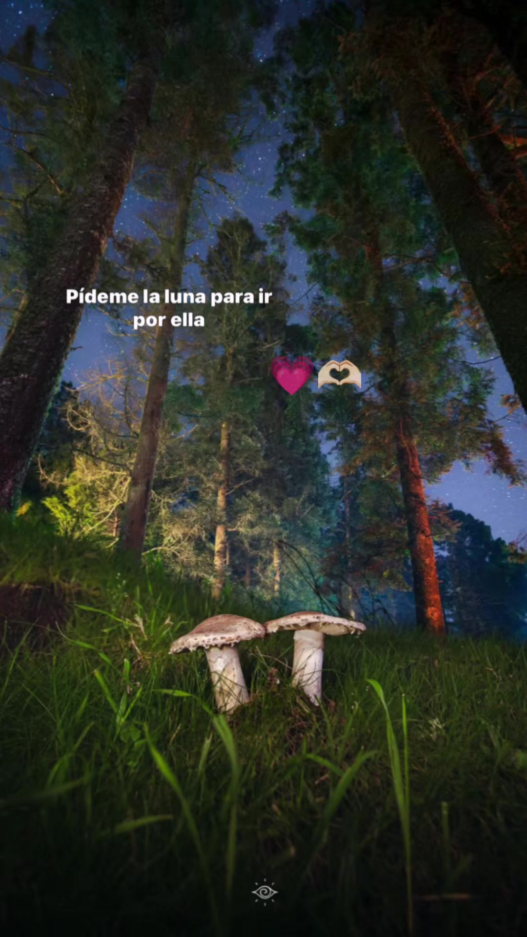 @🐍ℳ&iacute;𝒶🎀✨