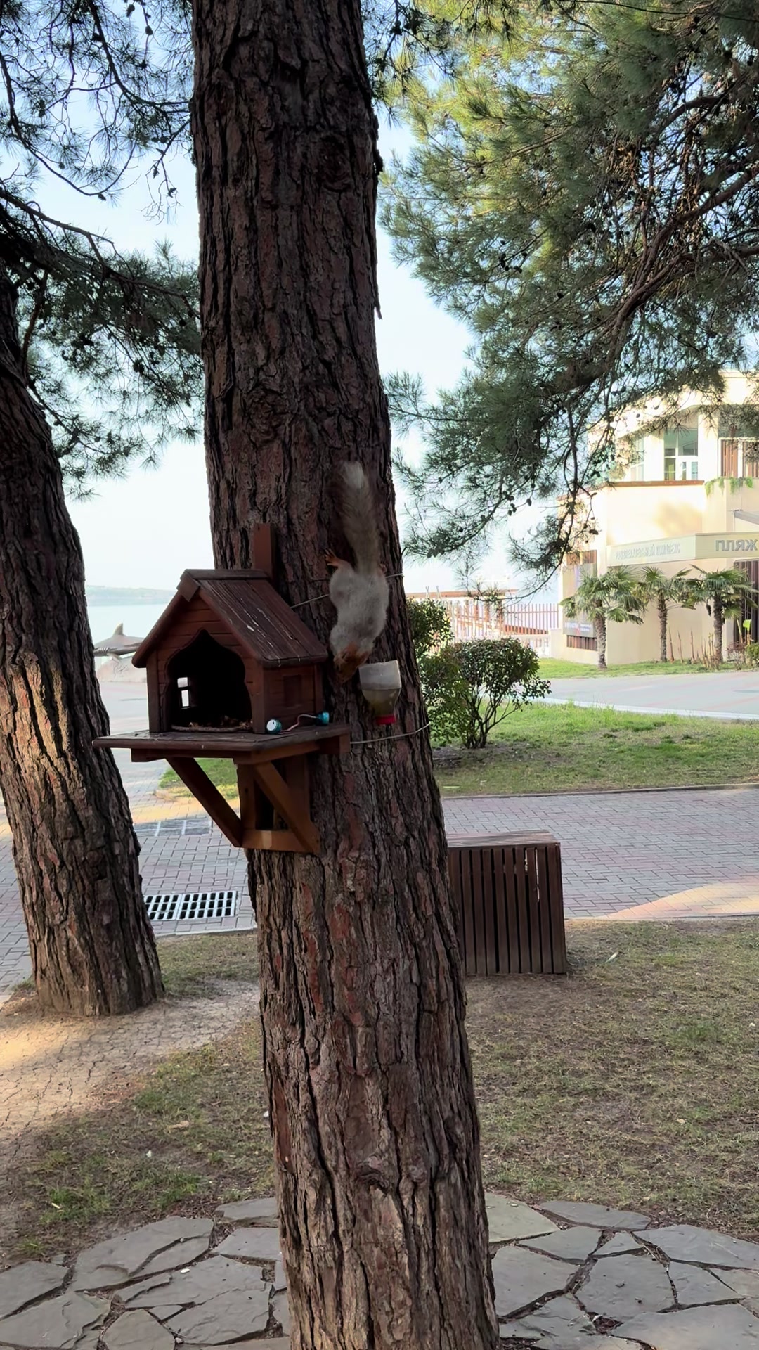 @danon_69