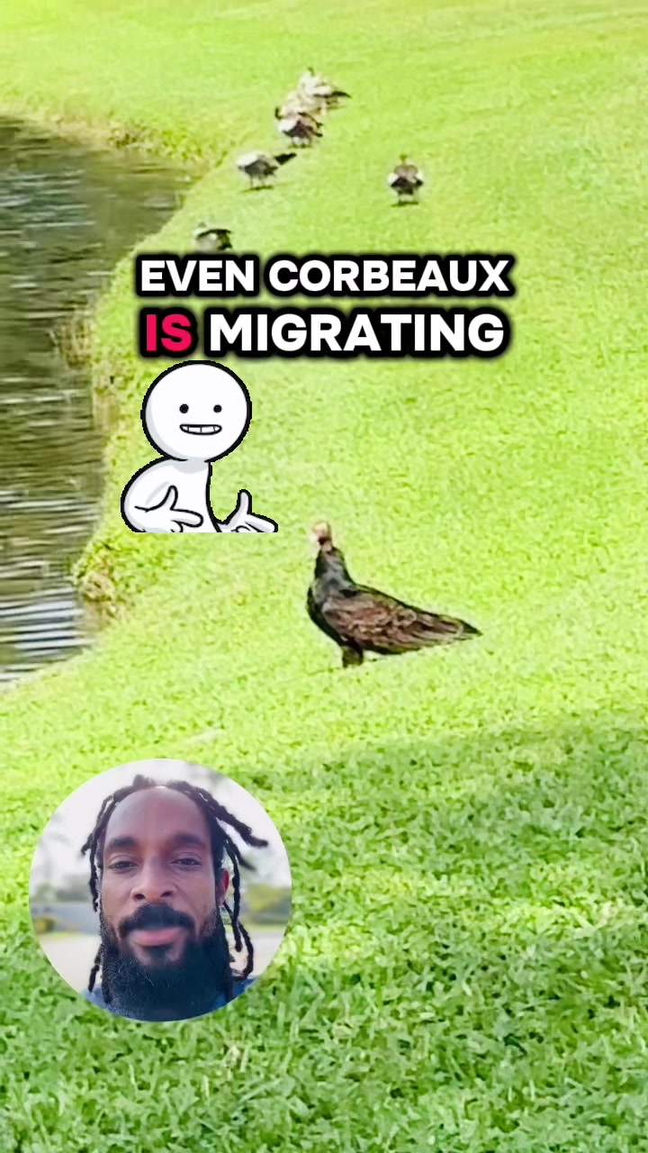 @Nic