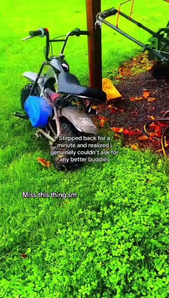 @̅c̅̅l̅̅a̅̅p̅̅p̅̅e̅̅d̅_̅1̅̅2̅̅5