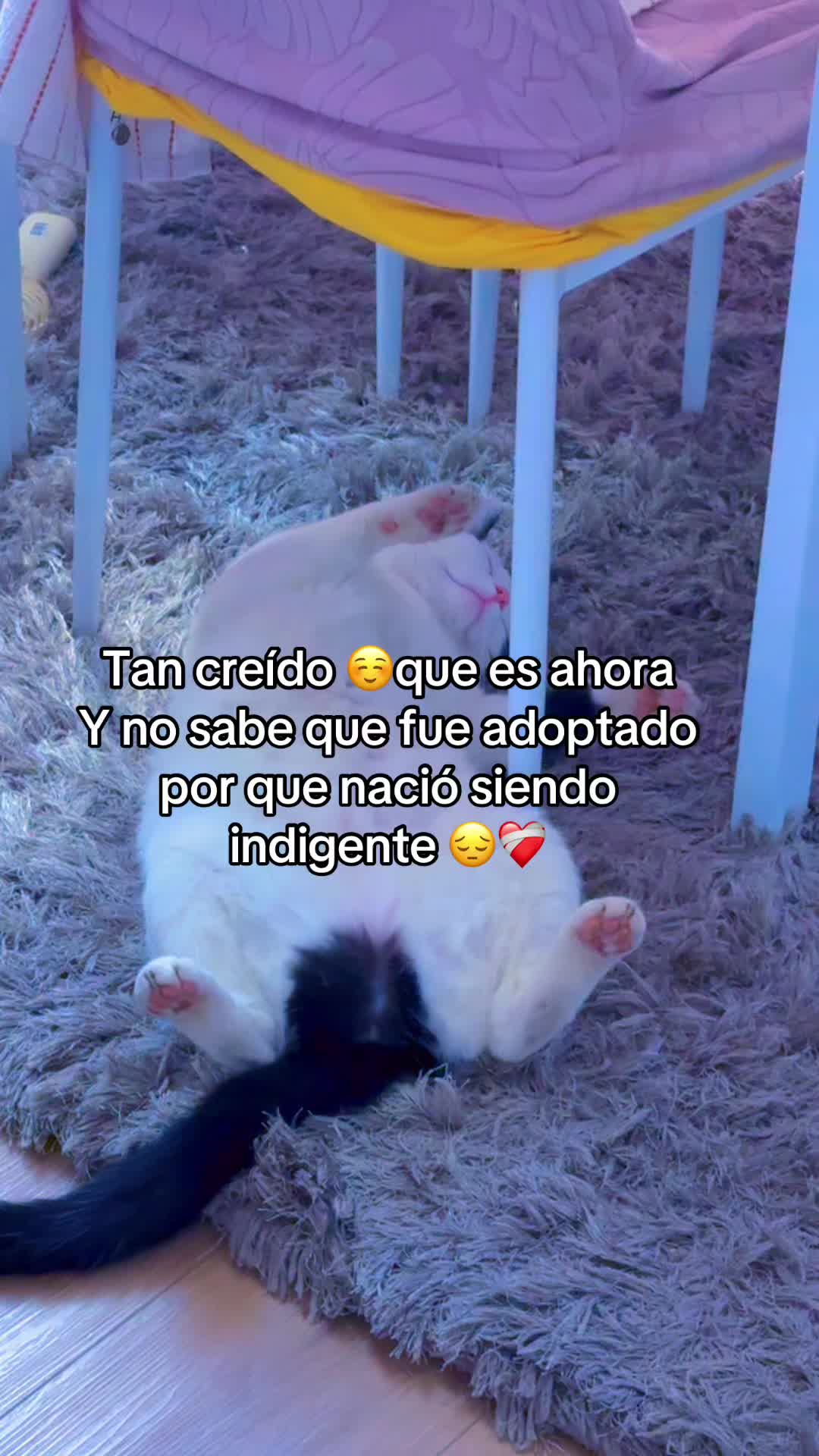 @Luzma1802