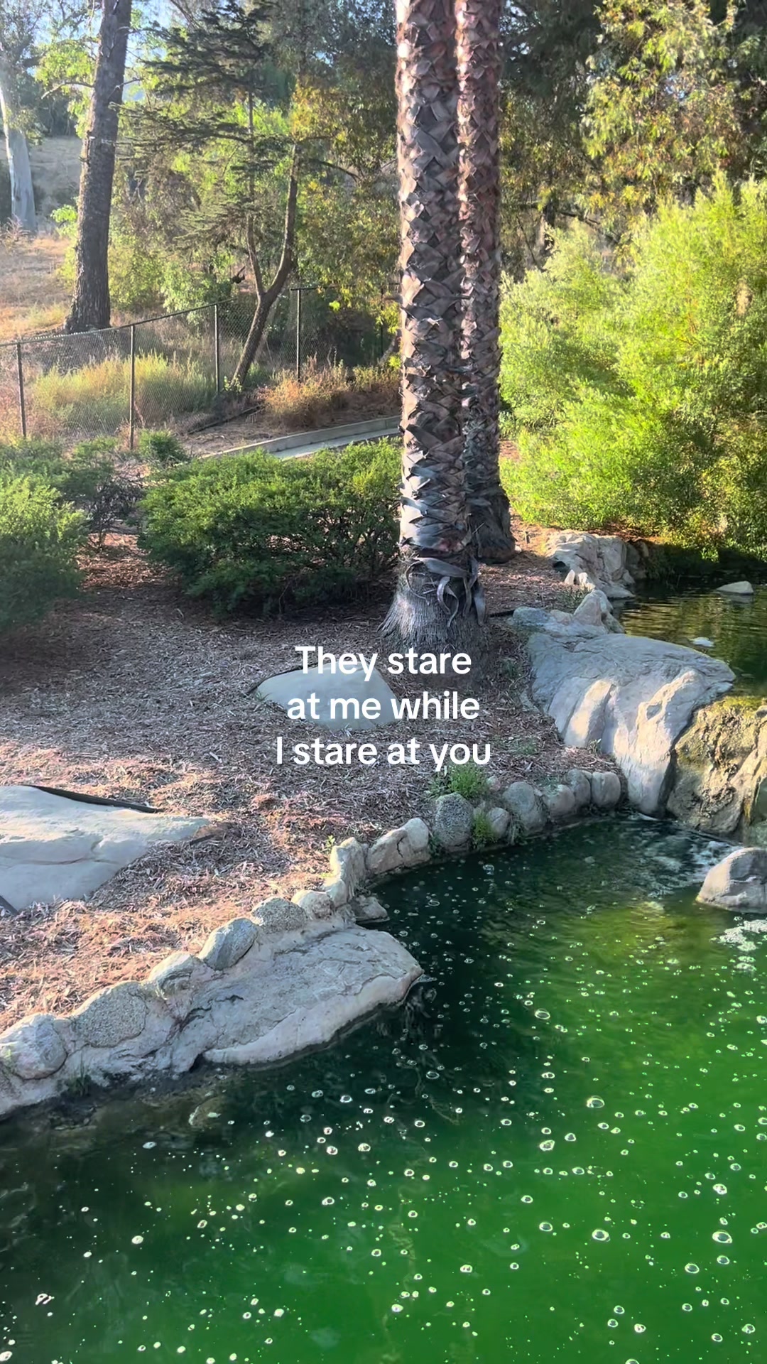 @👀