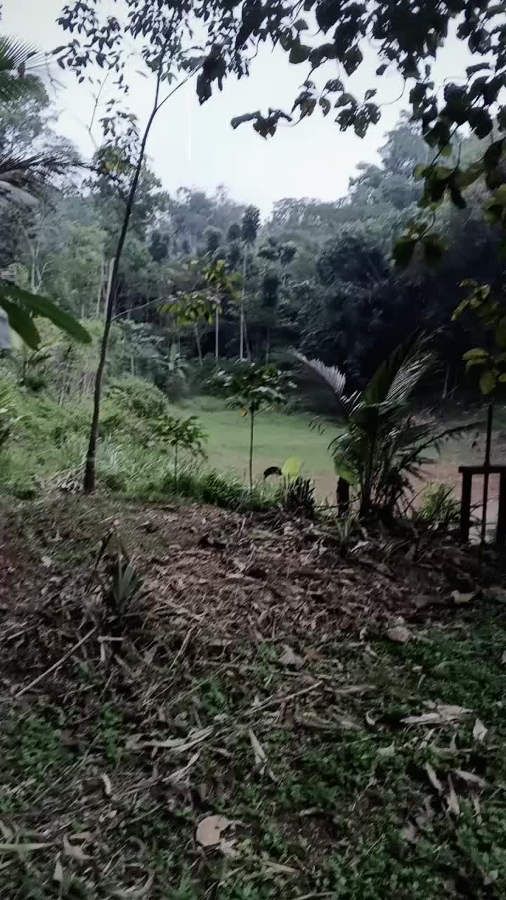 @๐๐๐ง๐๐ซ๐ ๐๐ข๐ฃ๐๐ฒ๐