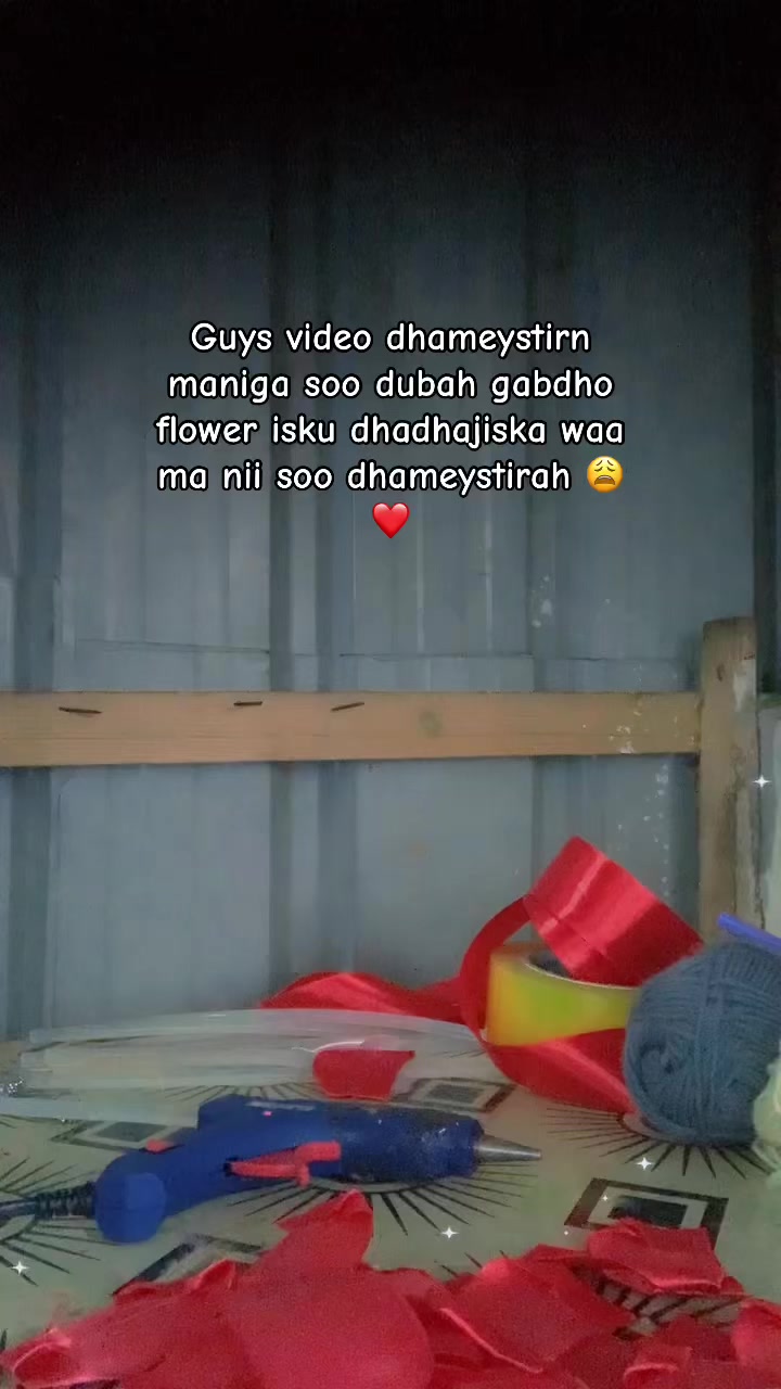 @dajiya❤️