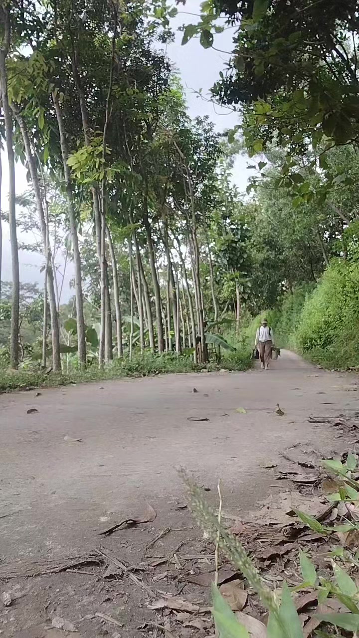 @dari kontak anda