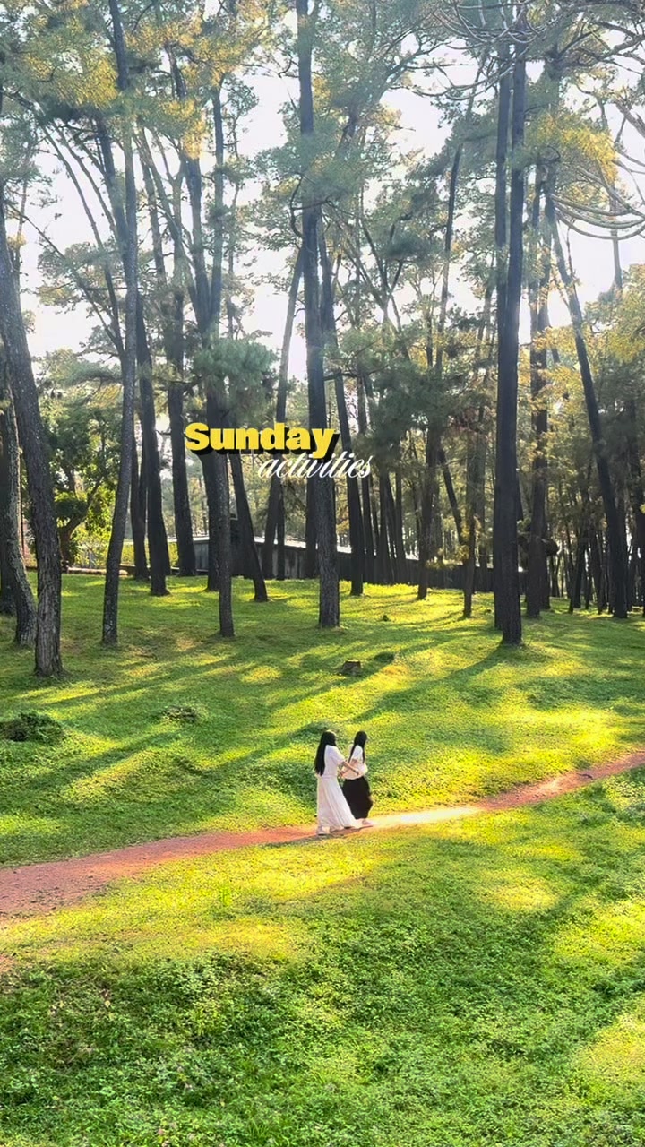 @linhiudoi20604