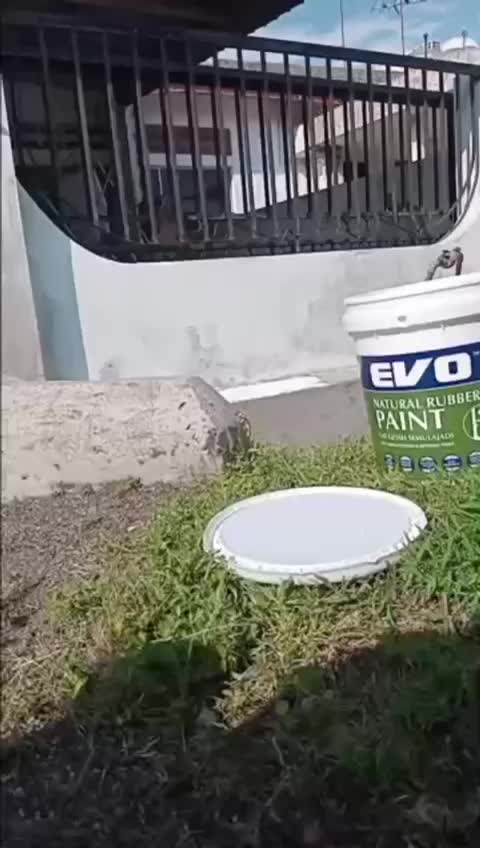 @Evo Natural Rubber Latex Paint