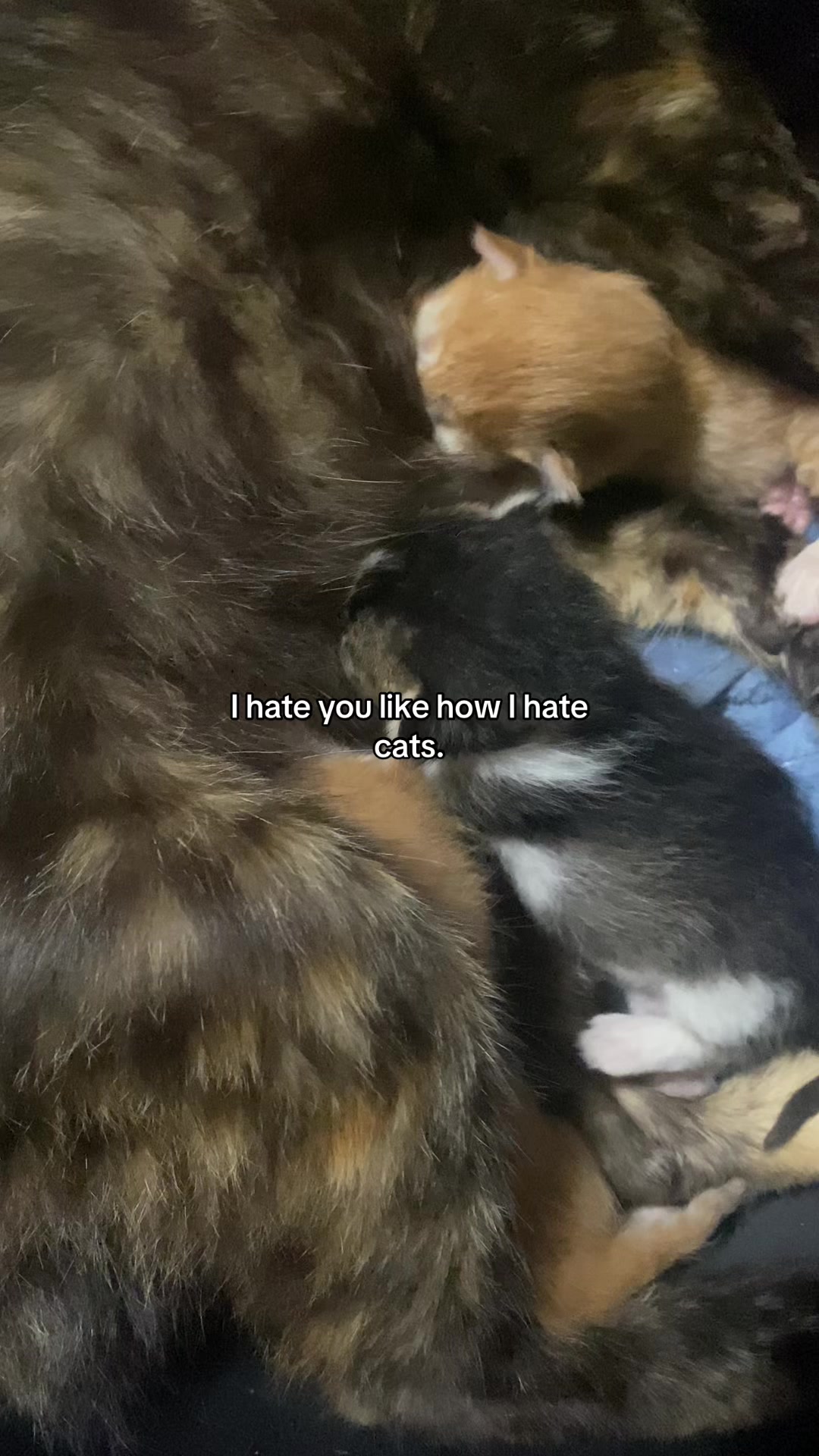 @r