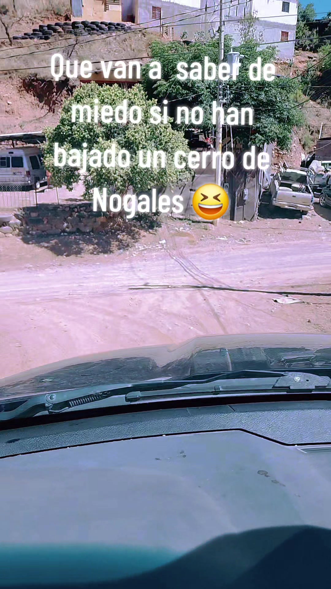 @Nydia Liz ☕️🐶🐶👫🌿💸