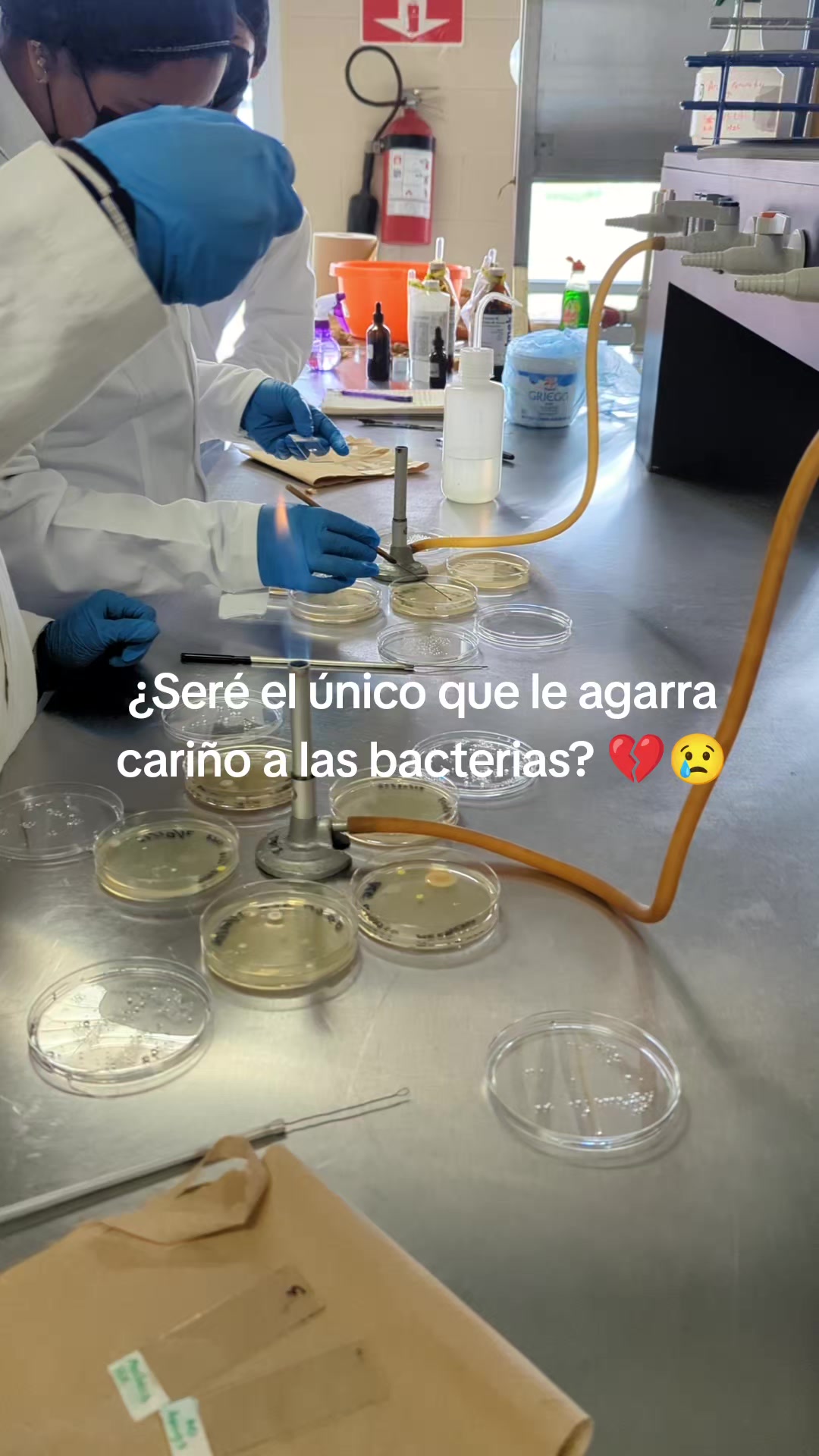 @Jes&uacute;s Trist&aacute;n