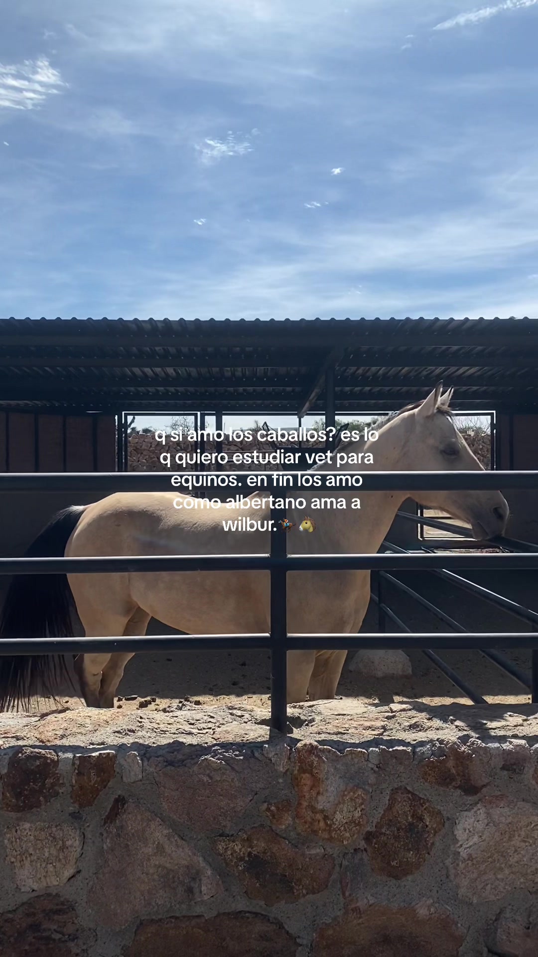 @AR