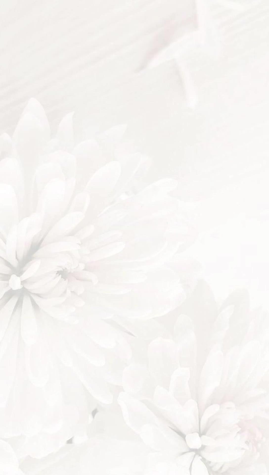 @MJ Design