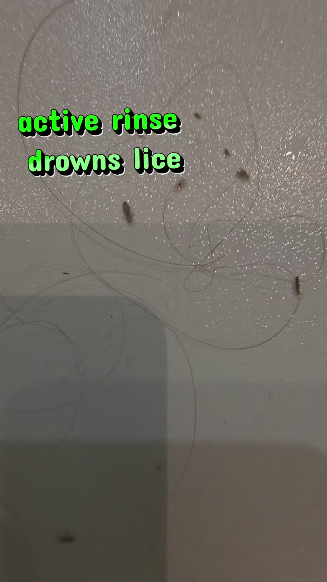 @liceclinic-jonesboro
