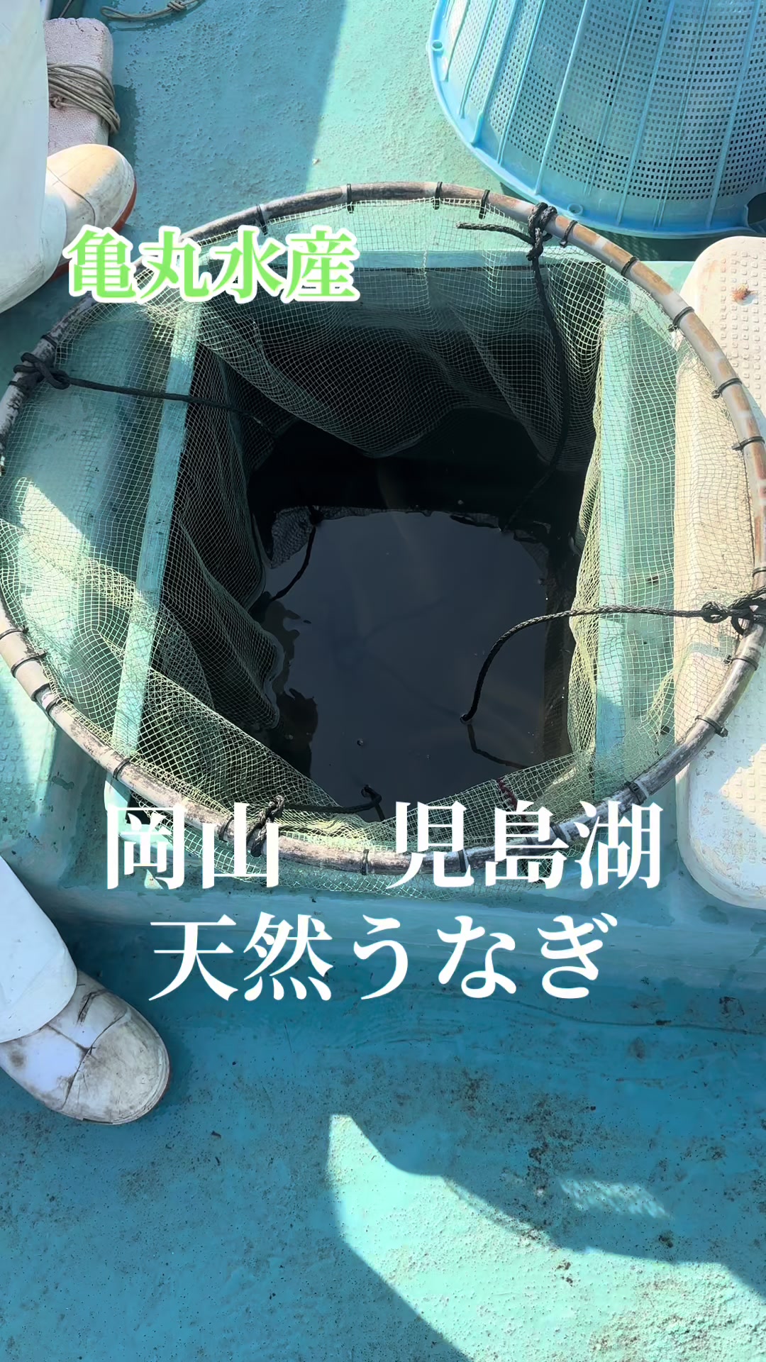 @亀丸水産社長🐢