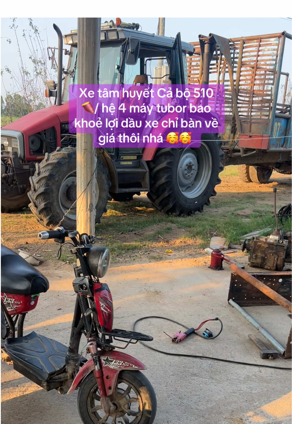 @❤️Hoàng Thế Đạt🫧