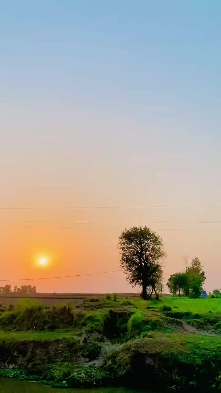 @علی حمزہ512