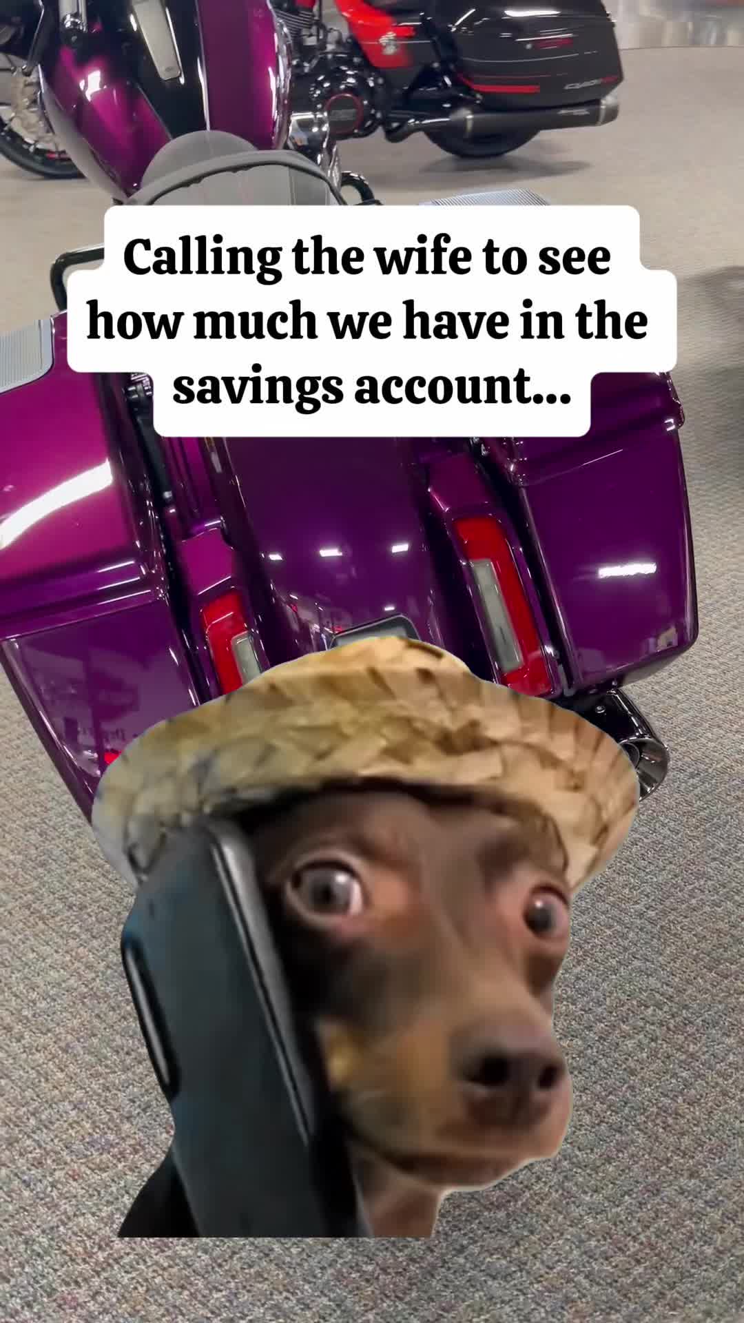 @Modesto_Harley
