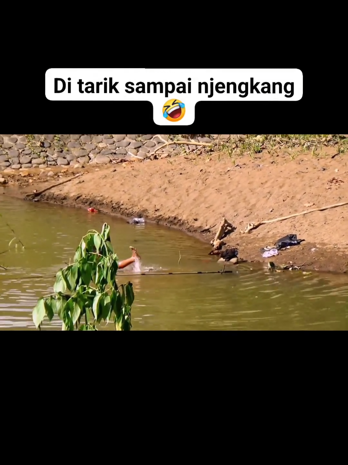 @joran paring