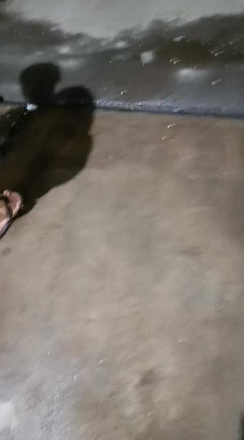 @trmoreira59