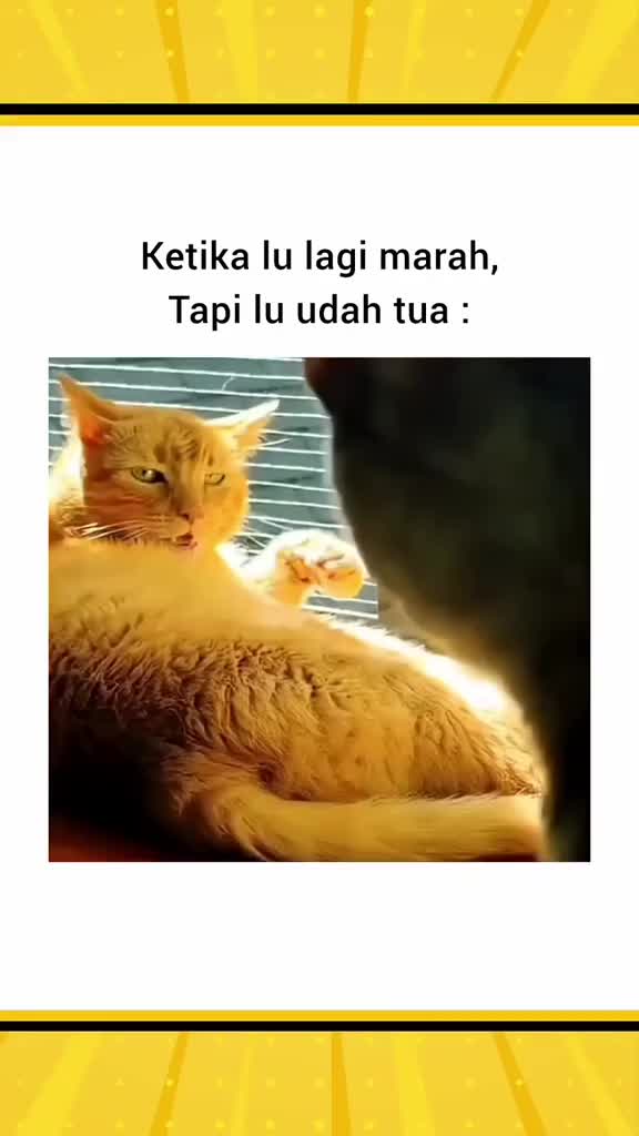 @EM