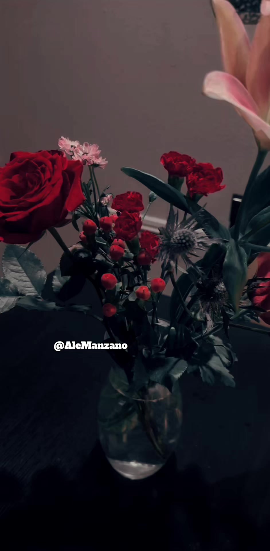 @AleManzano🍎