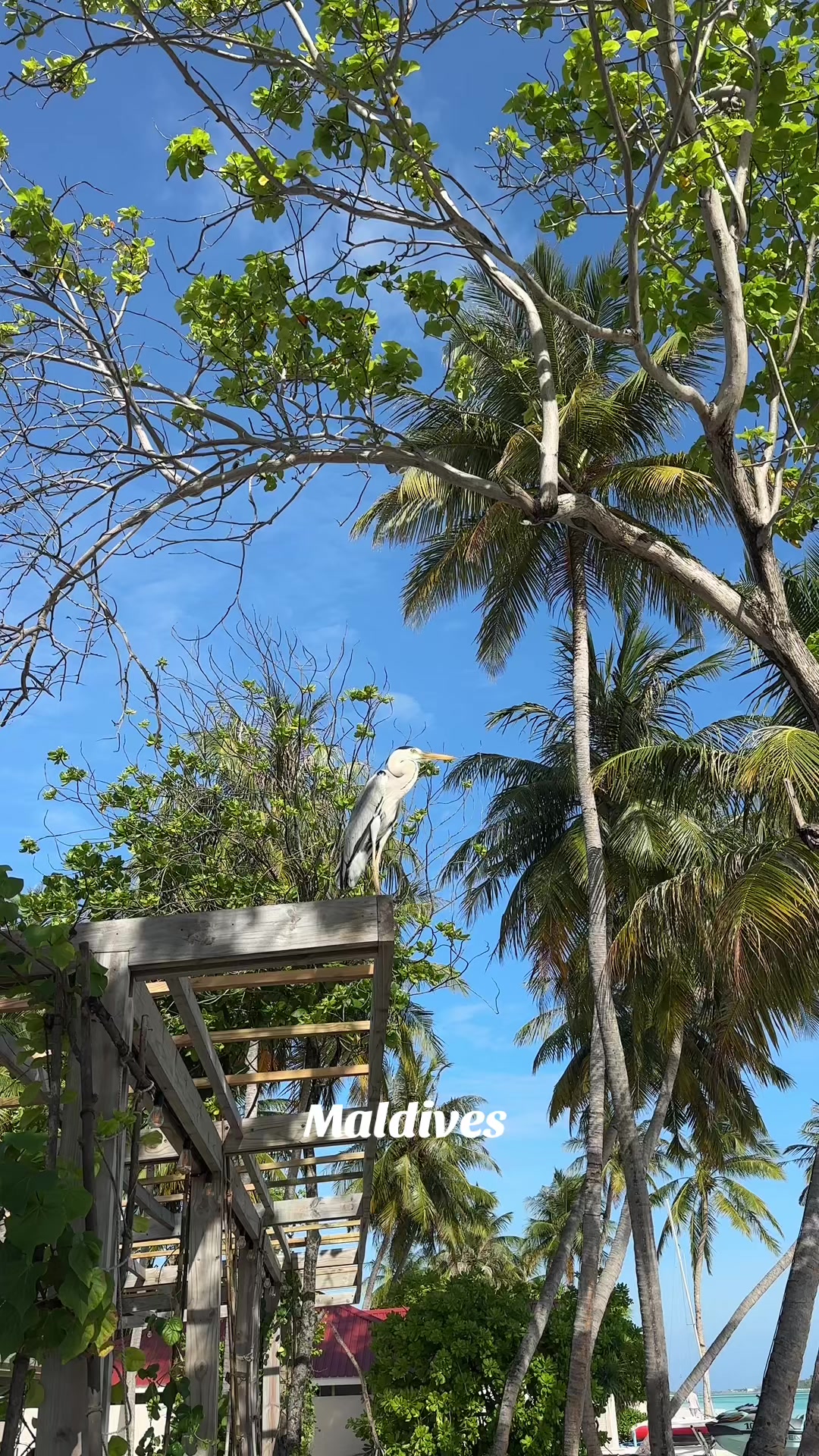 @taniiitaa_