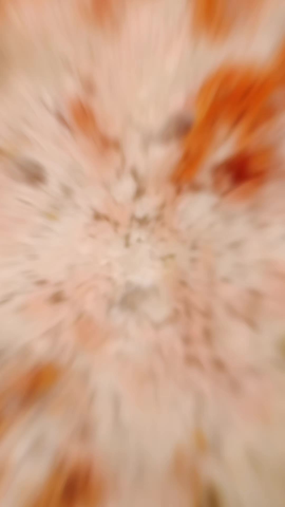@420CRYSTALHUNTER420