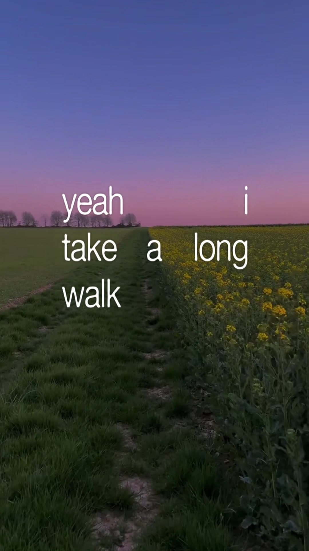 @neb