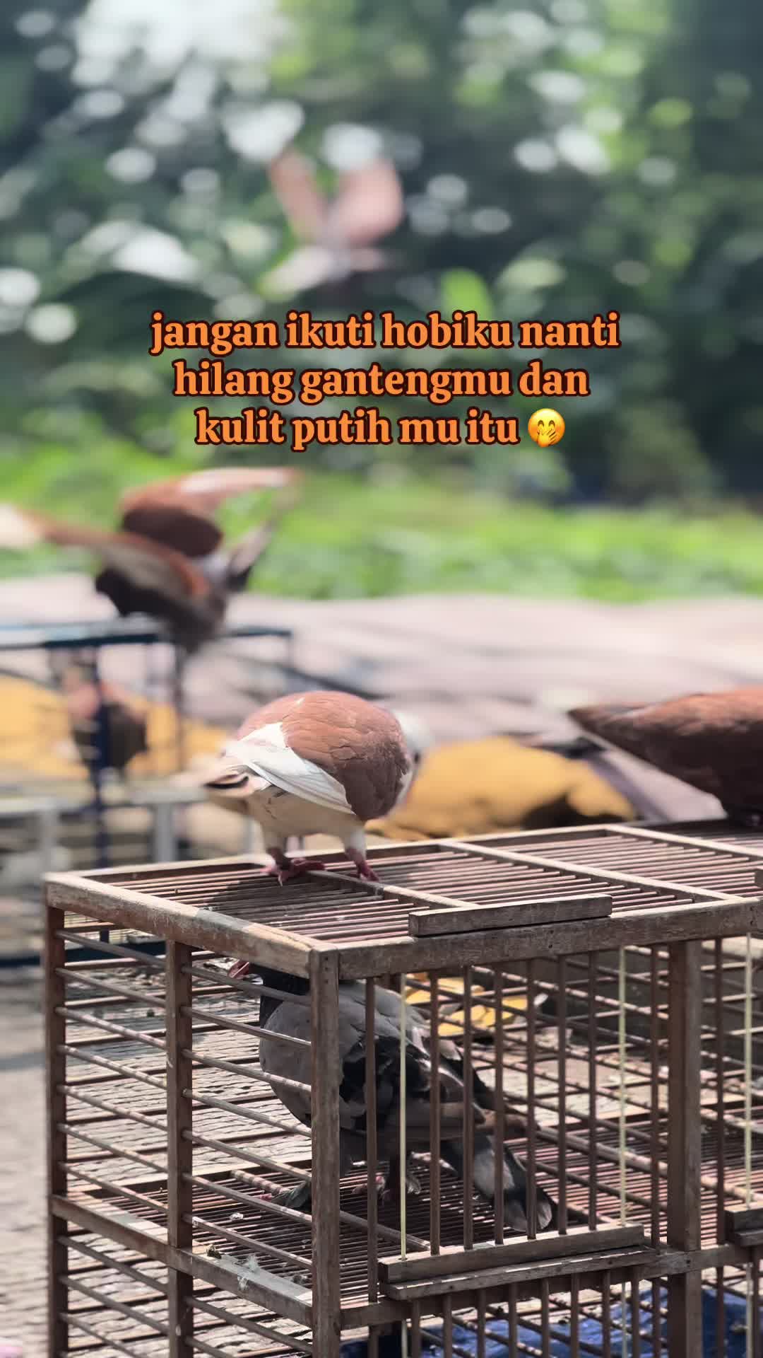 @Liaw team