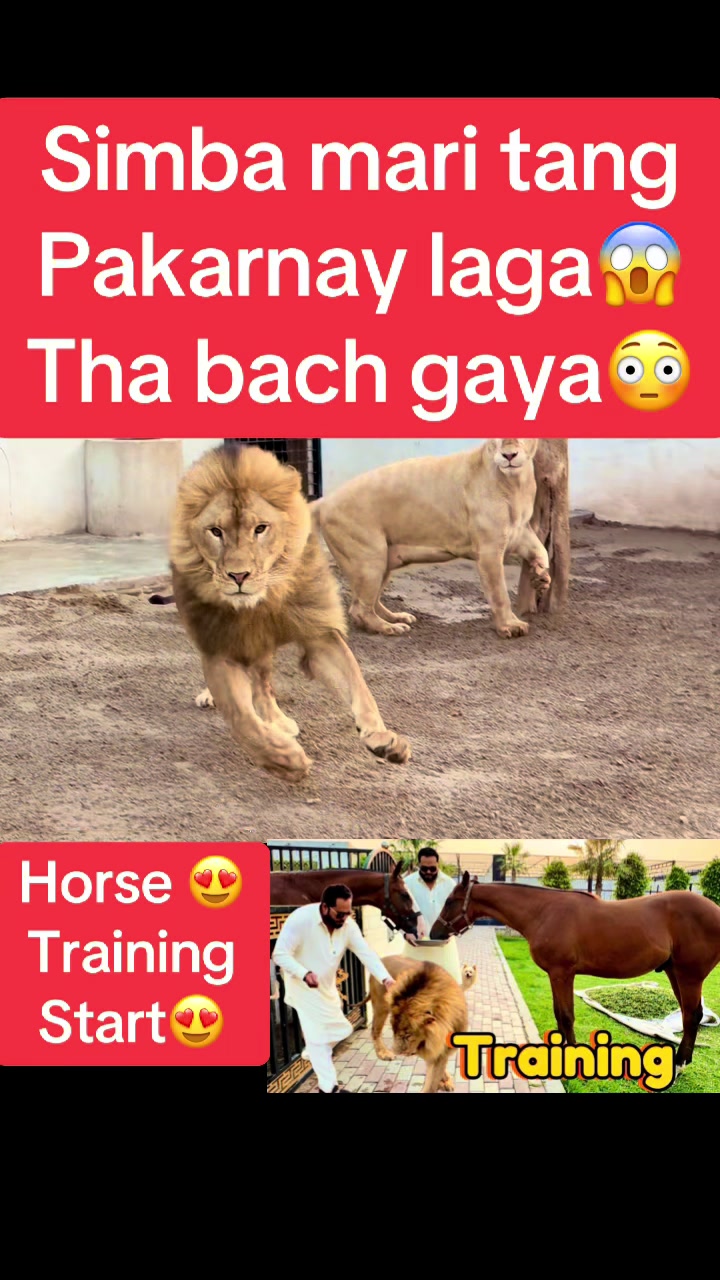 @Mian saqib