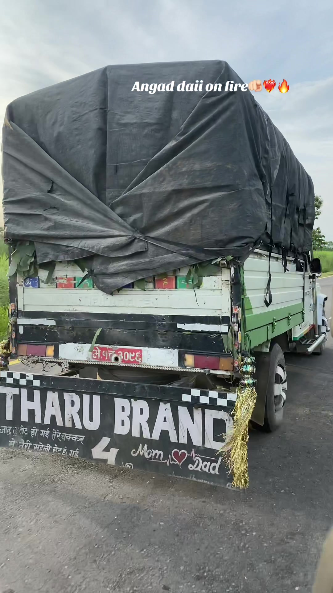 @तिलोत्तमा टाईगर🐯