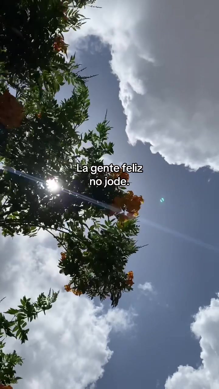 @María Márquez 🌸