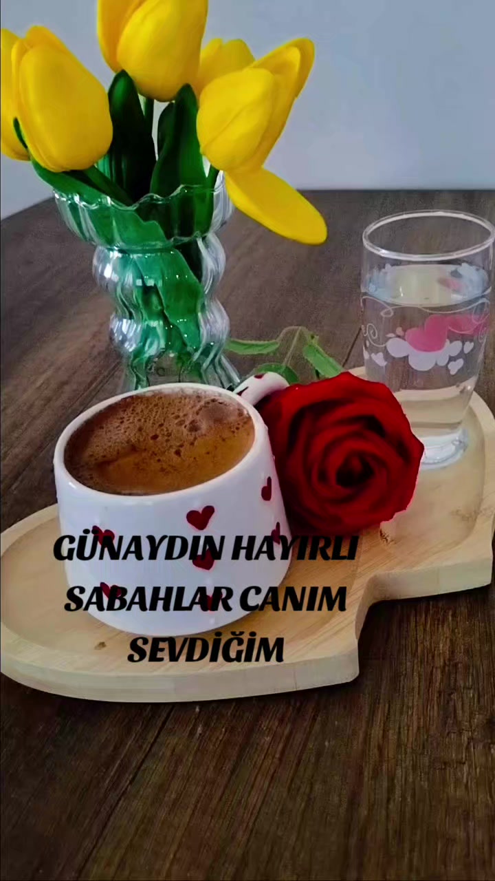 @Hasan Yılmaz