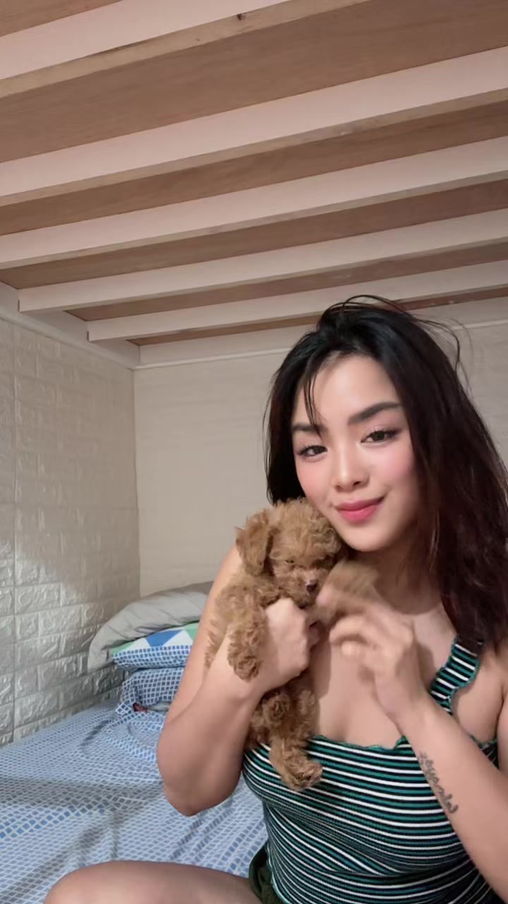 @StephJoy