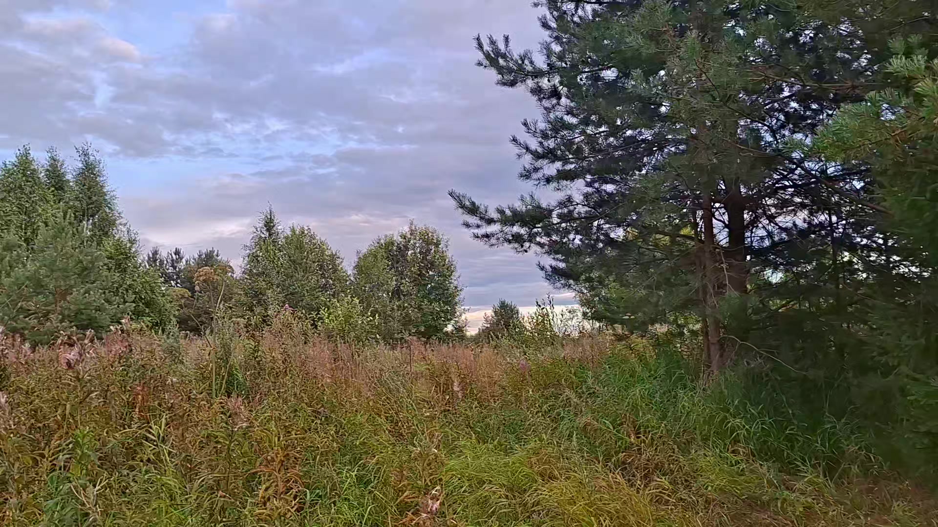 @𝘄𝗲𝗿𝘂𝗹𝗮𝘀𝗲𝗻